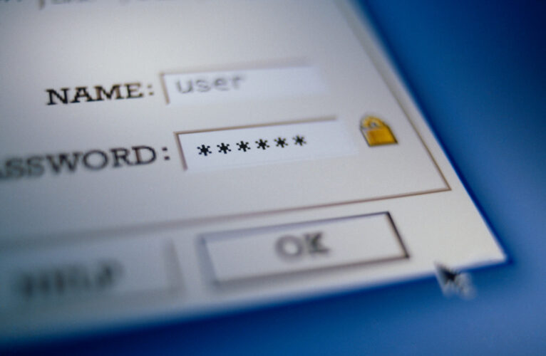 Internet Login Field